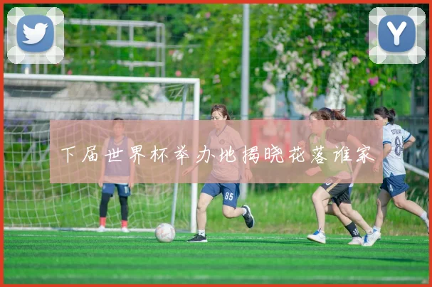 下届世界杯举办地揭晓花落谁家