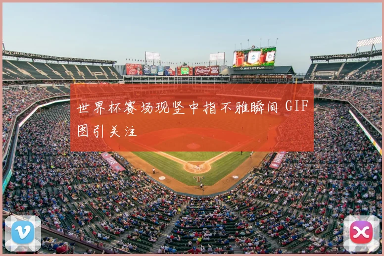 世界杯赛场现竖中指不雅瞬间 GIF图引关注