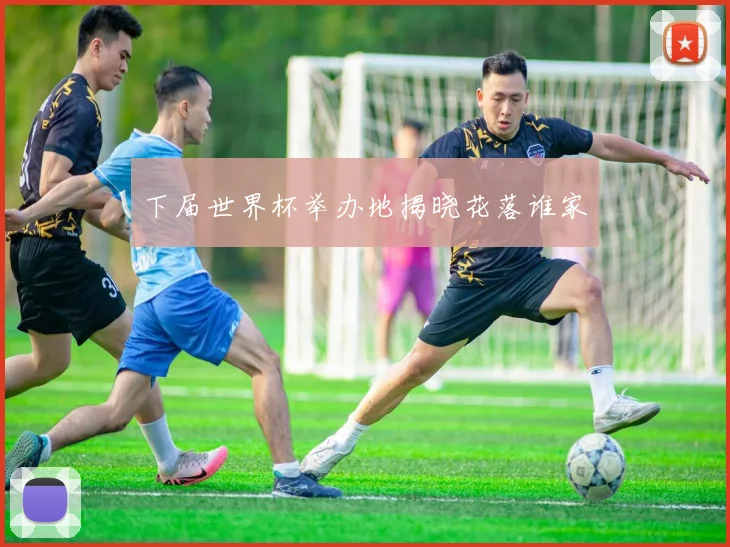 下届世界杯举办地揭晓花落谁家