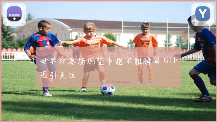 世界杯赛场现竖中指不雅瞬间 GIF图引关注