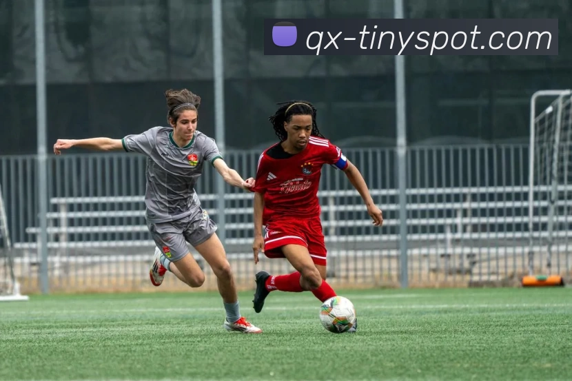 数据防护可视化